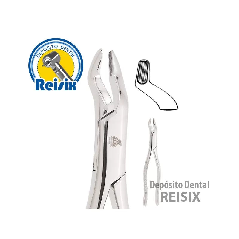 Forceps Adulto 53R