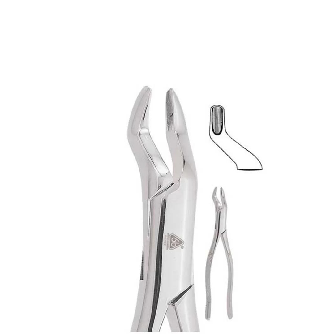 Forceps Adulto 10 S