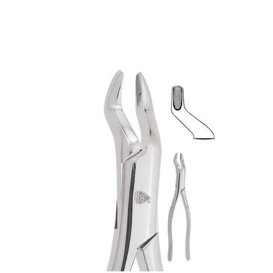Forceps Adulto 10 S