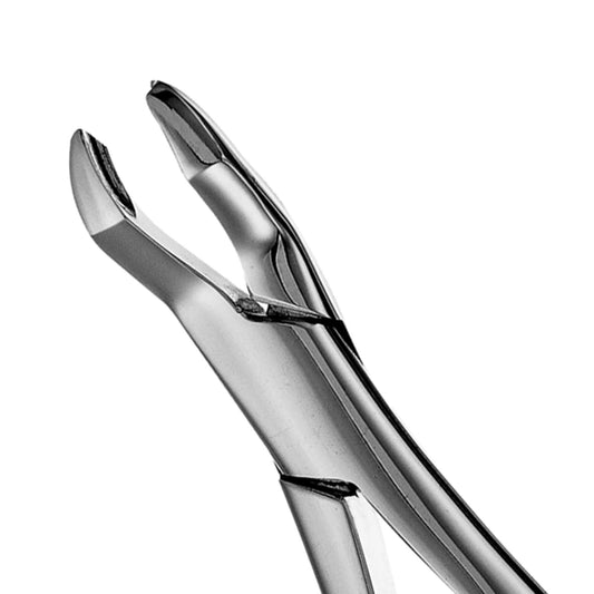 Forceps Adulto 53R