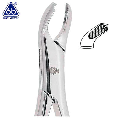 Forceps Adulto 17
