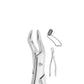 Forceps Adulto 210S