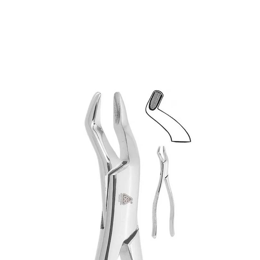 Forceps Adulto 210S